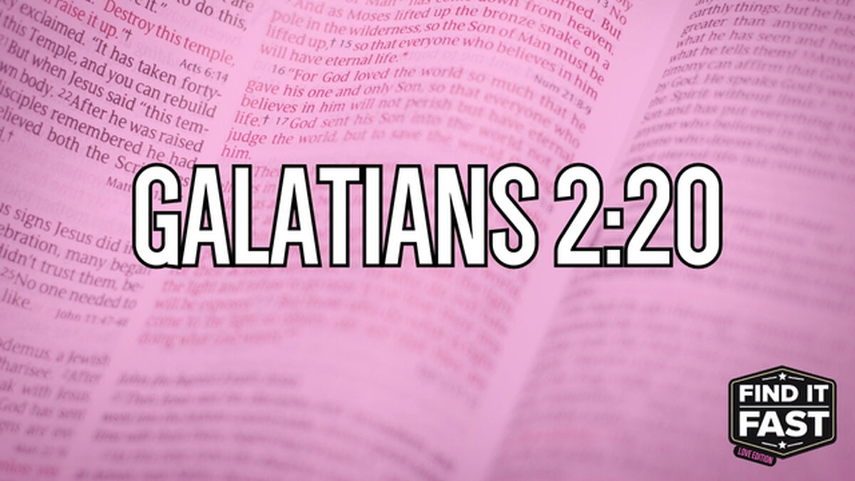 Find It Fast: Love Edition image number null